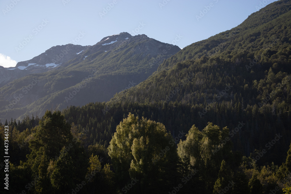 Fototapeta premium landscape with trees and mountains