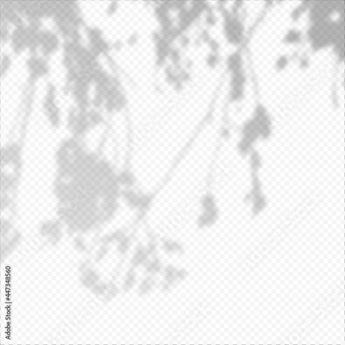 Realistic Vector transparent overlay blured shadow of branch leaves.