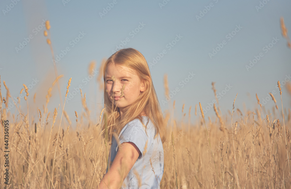beautiful girl with golden hair and a blue T-shirt in a field with dry grass on a blue sky background on a sunny summer day beautiful girl with golden hair and a blue T-shirt in a field with dry grass on a blue sky background on a sunny summer day