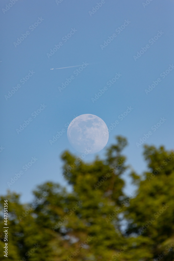 Nearly full moon rising over a summer tree with a plane flying high in the sky above. Nearly full moon rising over a summer tree with a plane flying high in the sky above.