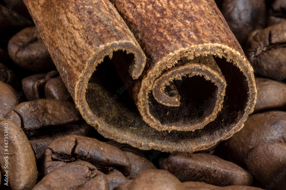cinnamon sticks on the coffee roasted beans background in Brazil