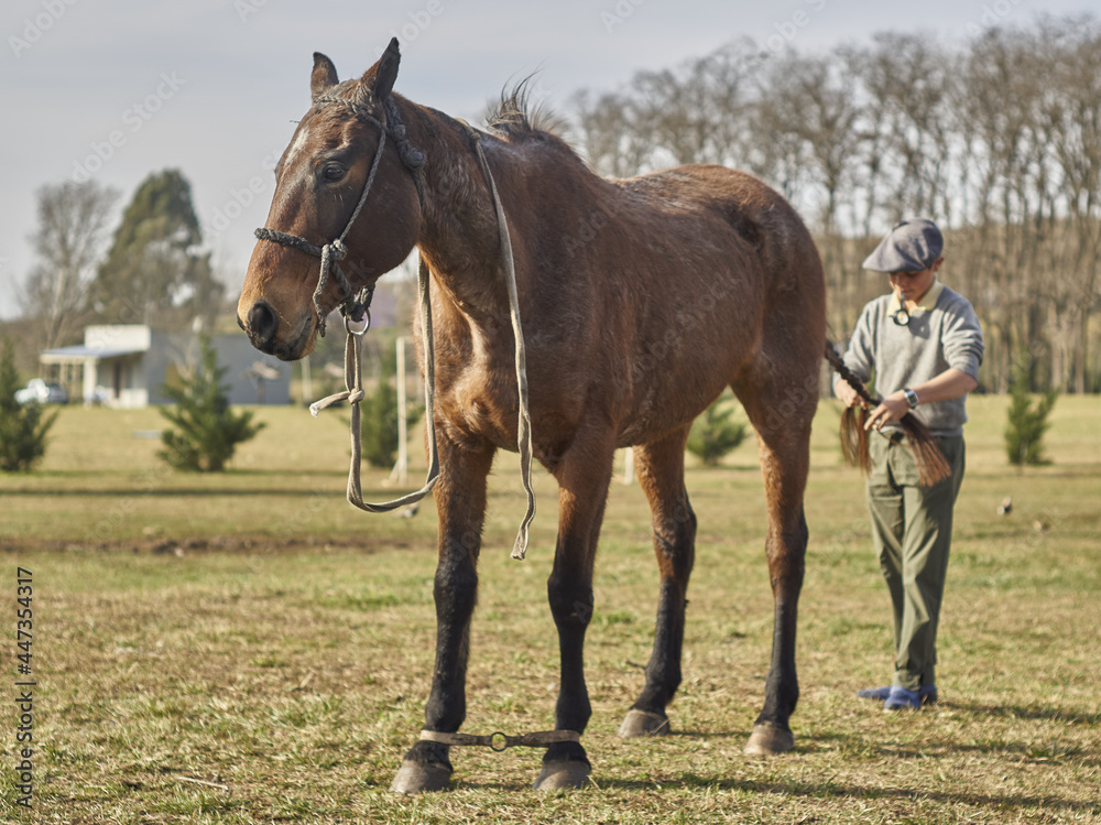 joven trensando la cola de su caballo joven trensando la cola de su caballo
