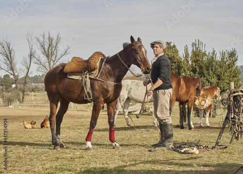 hombre de campo y sus caballos