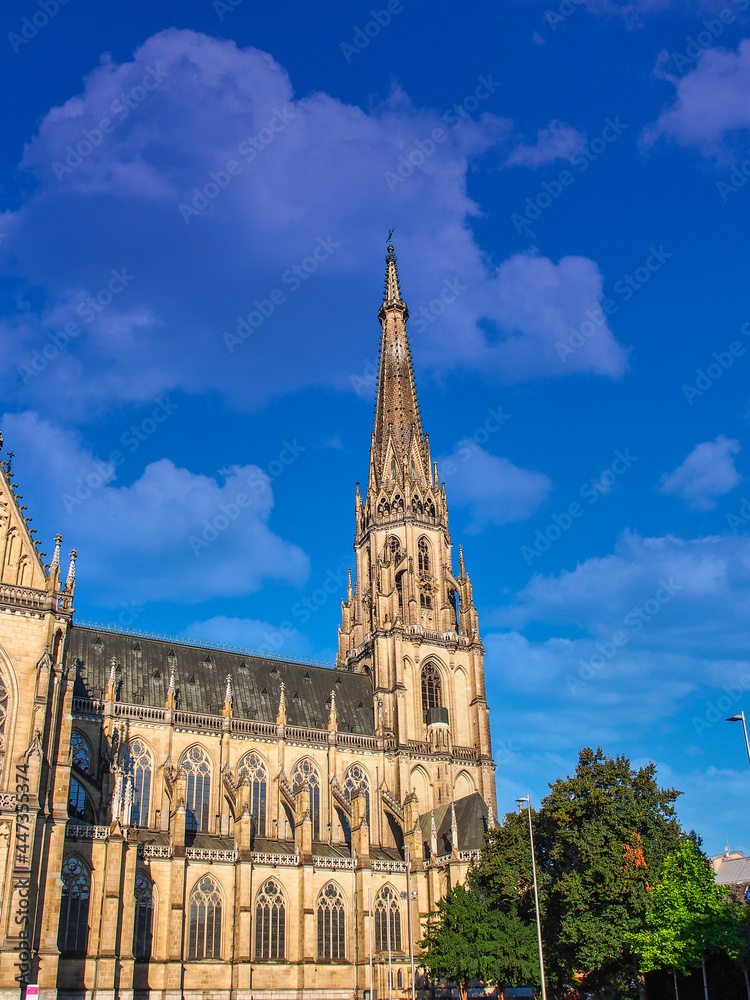 Obraz premium New Cathedral or Cathedral of the Immaculate Conception or St. Mary Church in Linz, Austria