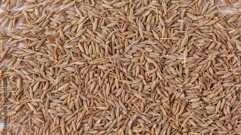 Cumin seed,Indian spices ;arranged on a white textured background which is mainly used for indian foods and traditional medicins.Textures of colorful spices and condiments.