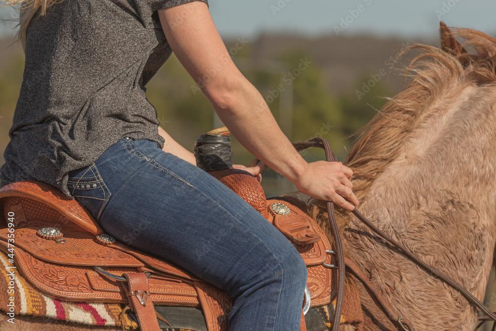 women holding the reins riding a horse