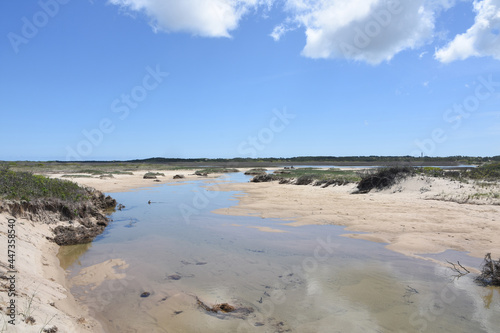 Tidal Pools Along the Outer Cape in Massachusetts