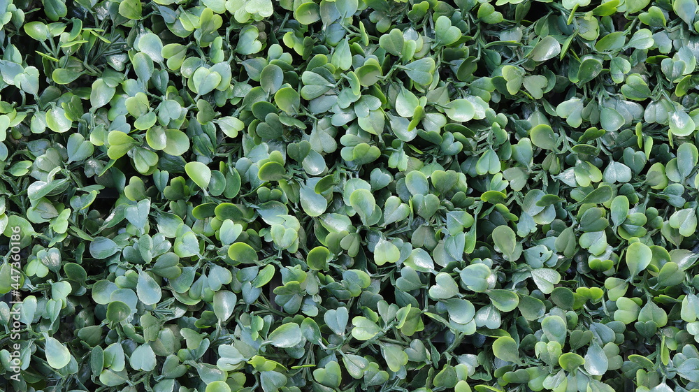 Green artificial grass natural background Green artificial grass natural background