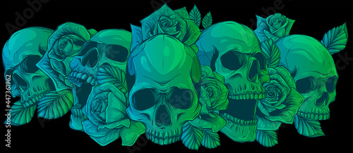 Vector illustration skulls with roses on black background