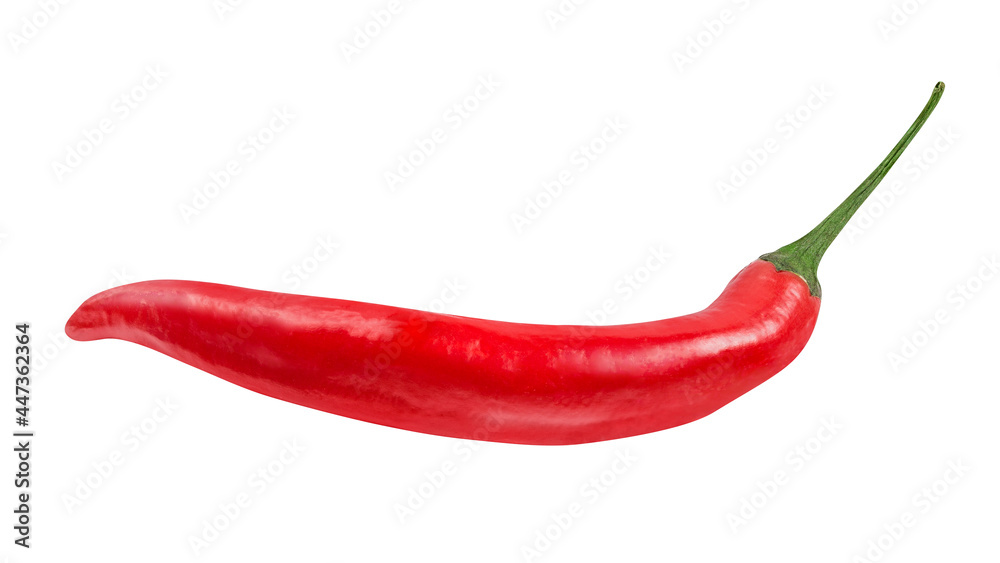 Red hot chili pepper isolated on white background with clipping path