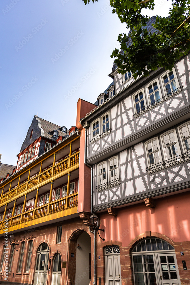 Fototapeta premium Frankfurt am Main