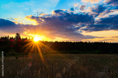 Sunset in the woodland in the center of Russia