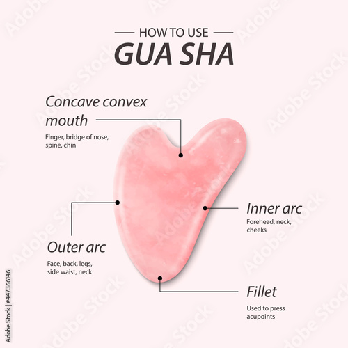 Vector 3d Realistic Gua Sha Jade Scraping Massage Tool. Benefits, Parts, Instruction, Infographics. Natural Pink Rose Quartz Stone Scraper. Chinese Traditional Facial Lifting for Woman. Top View