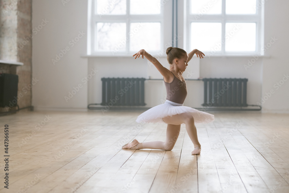 Ballerina practicing in dance studio Ballerina practicing in dance studio