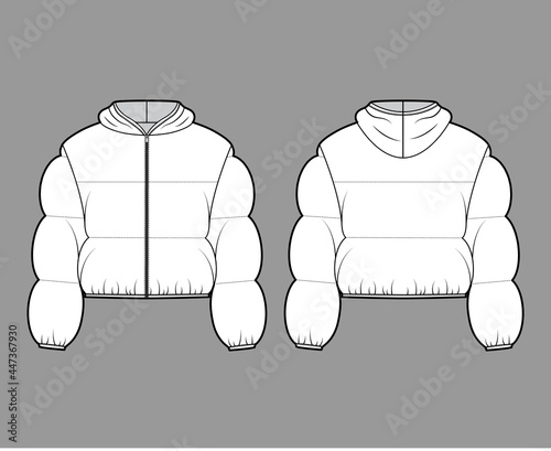 Hooded jacket Down puffer coat technical fashion illustration with long sleeves, zip-up closure, boxy fit, crop length, wide quilting. Flat template front, back, white color. Women, men top CAD