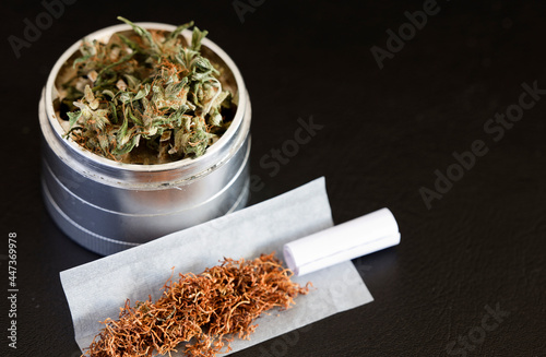 Marijuana in Grindr, with tobacco, smoking paper, and filter, black background photo