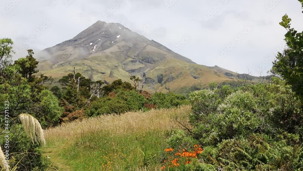 Summer in Taranaki NP - New Zealand Summer in Taranaki NP - New Zealand