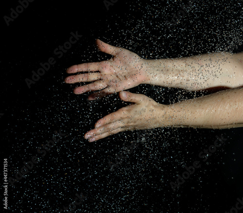 two female hands and flying drops of water on a black background