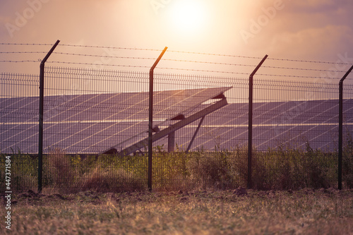 solar panels in the middle of a field on a sunny day, Ukraine