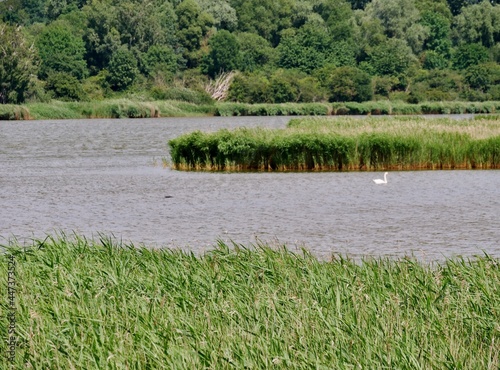 Spyckerscher See auf Rügen photo