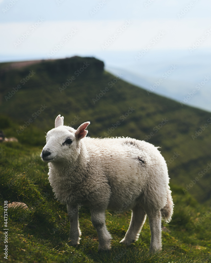 Obraz premium Landscapes in Wales