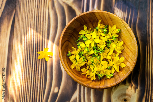 Galium verum, lady bedstraw or yellow bedstraw used in alternative medicine in wooden plate on a vintage table next utting boards. Medicinal herbs Hypericum for Homeopathic Remedies photo