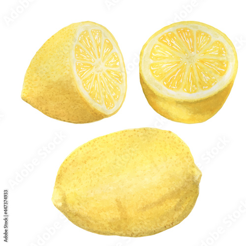 Watercolor illustration Lemon. Hand draw clipart citrus fruit. Menu design. Logo. Watercolor sketch. Summer time banner. Lemonade. Lime leaf. Realistic illustration