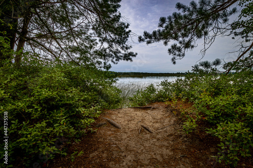 Schilderij op canvas Beautiful Hiking Trail around Marl Lake by South Higgins Lake State Park, Roscom