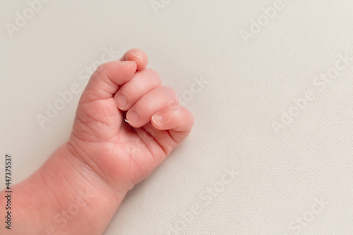 hands of a newborn. little hands baby