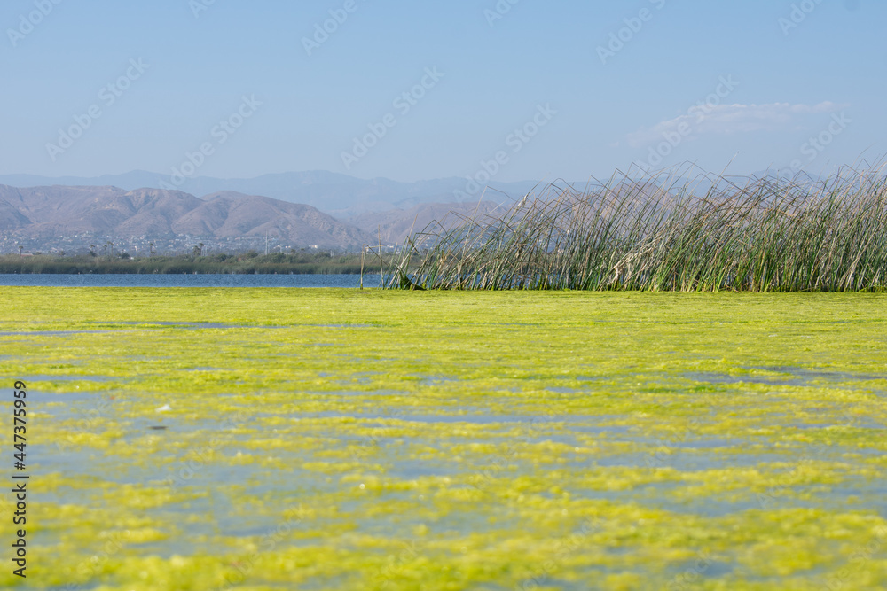 Fototapeta premium Ventura Beach Cove