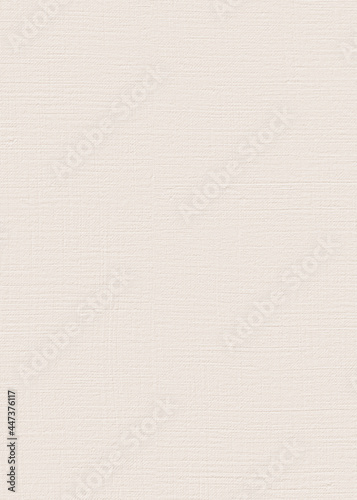 Abstract oil acrylic textured paint. Texture vintage paper background. Beige, blush, white. Craft paper grey box kraft pattern. New clean empty view. Background. Paper. Wallpaper. Wall art. Foliage.