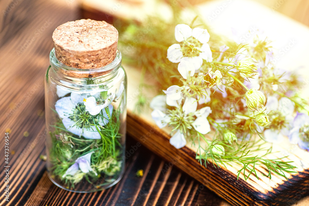 Nigella arvensis, devil-in-a-bush, love-in-a-mist in wooden mortar next to dried flowers in medical jar with cork for making Black cumin oil from seeds Nigella arvensis, devil-in-a-bush, love-in-a-mist in wooden mortar next to dried flowers in medical jar with cork for making Black cumin oil from seeds