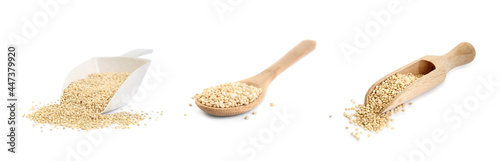 Set with raw quinoa in white background. Banner design