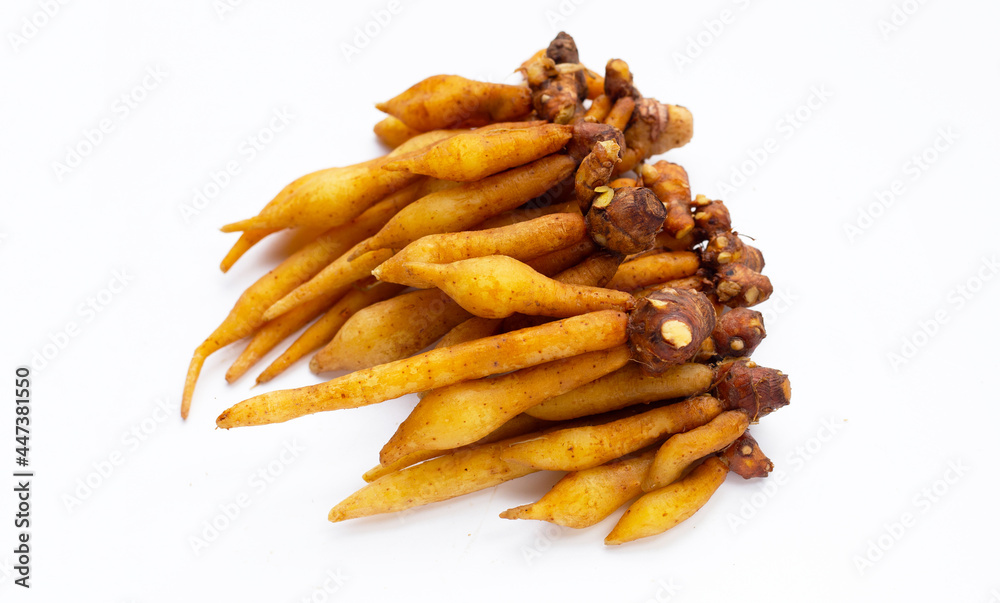 Finger root on a white background. Finger root on a white background.