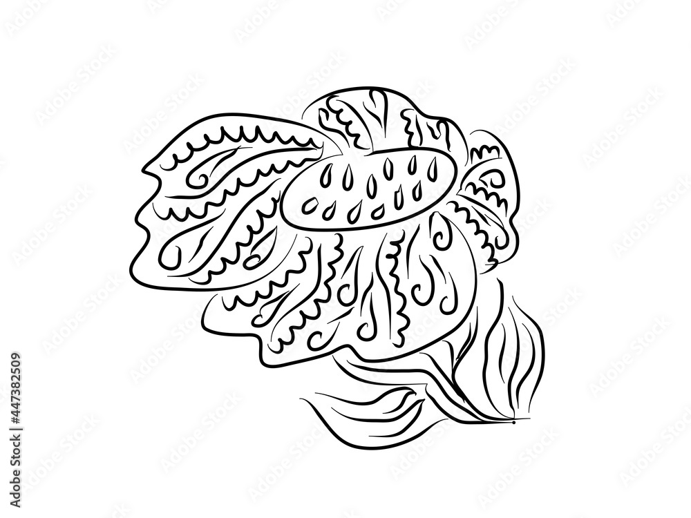 Fototapeta premium Sunflower, flower, plant. Coloring book. Zentangle style, doodle. Colouring page for kids or adult. Vector illustration modern