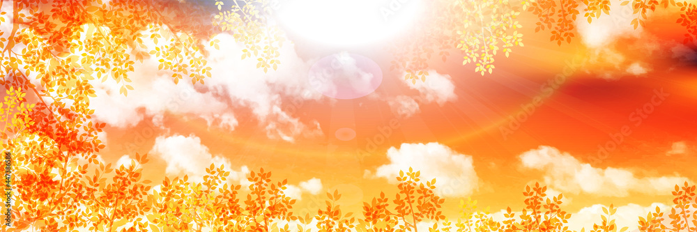 Obraz premium 紅葉 もみじ 秋 背景 