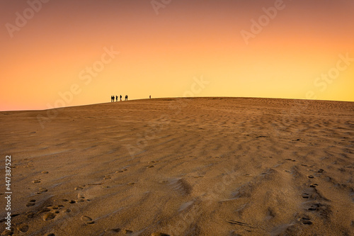 Sunset at Jockey Ridge State Park. Located in Nags Head, North Carolina. It is a tallest sand dune system in the eastern United States. photo