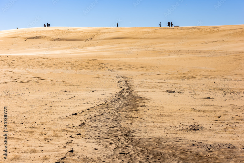 Sand dunes in Jockey's Ridge State Park. Located in Nags Head, North Carolina.It is a tallest sand dune system in the eastern United States. Sand dunes in Jockey's Ridge State Park. Located in Nags Head, North Carolina.It is a tallest sand dune system in the eastern United States.