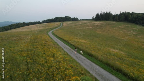 woman walks white lab labrador dog on trail photo