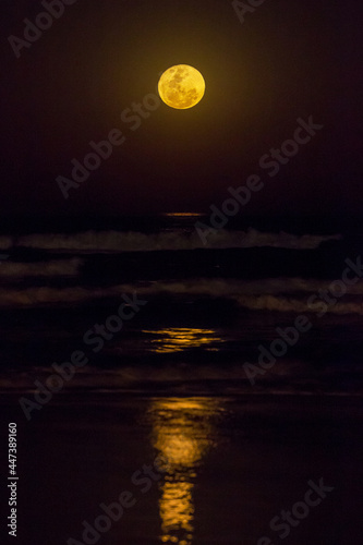 Full moon rising from the sea.