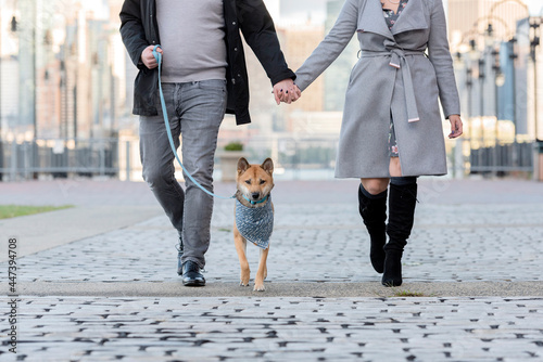 a couple walking with their dog towards the camera at liberty state park, in jersey city  photo