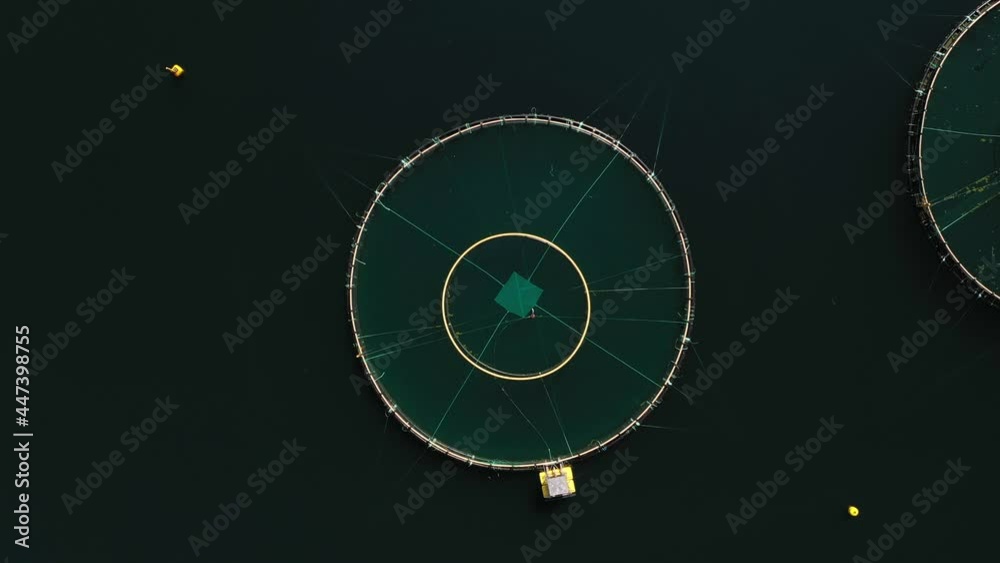 Aerial view above a salmon cage, summer day, in Norway - screwdriver, drone shot Aerial view above a salmon cage, summer day, in Norway - screwdriver, drone shot