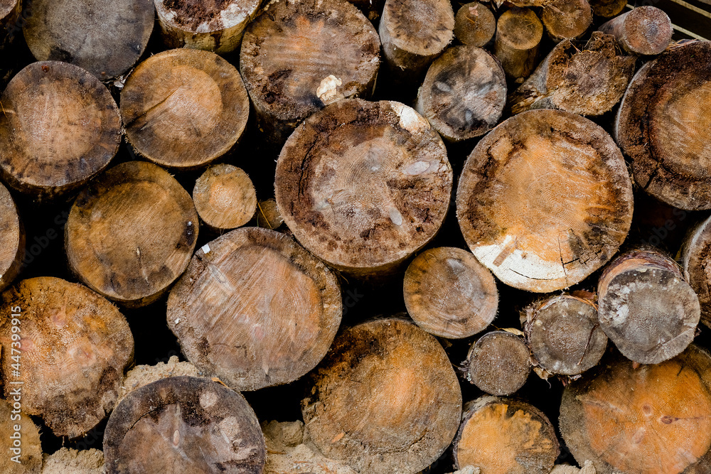 Firewood - butt-ends of chopped wood logs, wooden textured background.Natural ecological background of cut wooden sawn logs, wood cross section, texture Firewood - butt-ends of chopped wood logs, wooden textured background.Natural ecological background of cut wooden sawn logs, wood cross section, texture