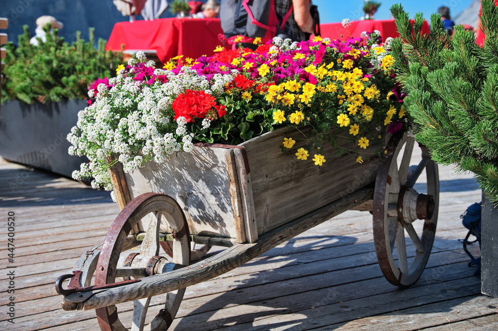 Rustic wooden wheelbarrow filled with colorful flowers