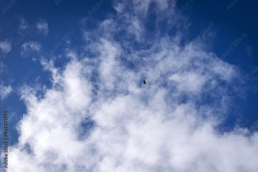 blue sky with clouds blue sky with clouds