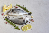 Two fresh raw sea organic dorado or sea bream with spices and lemon on a grey background
