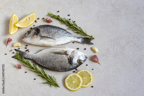 Two fresh raw sea organic dorado or sea bream with spices and lemon on a grey background