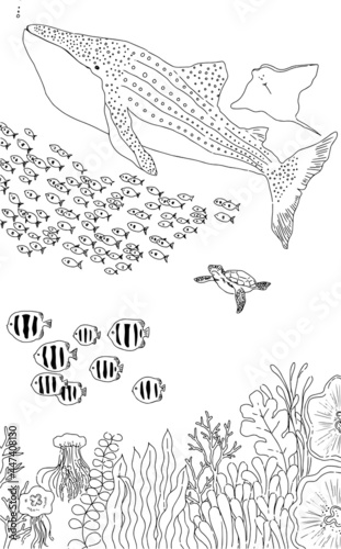 ジンベイザメと一緒に泳ぐ魚の群れ達