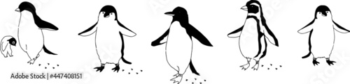 ペンギンのシンプルなアイコンイラスト