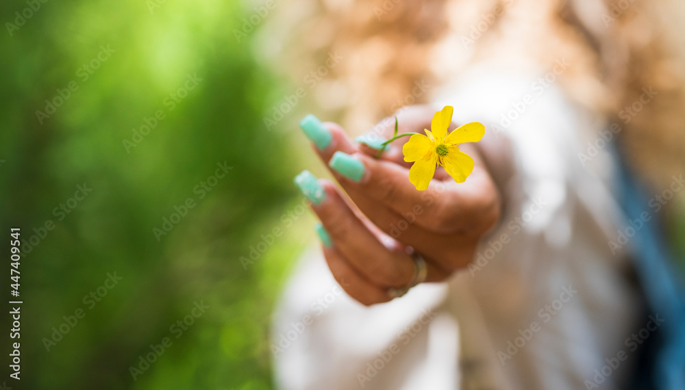 Close up of yellow spring flower and woman caucasian hand holding it - nature and safe the earth planet concept lifestyle people - green natural background Close up of yellow spring flower and woman caucasian hand holding it - nature and safe the earth planet concept lifestyle people - green natural background